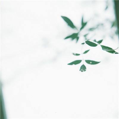 千军万马手游变态版下载