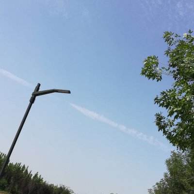花妖记红包版下载
